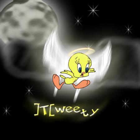 J'adore les titi!!!!