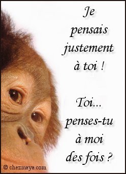 Alors mettez vos coms !!!