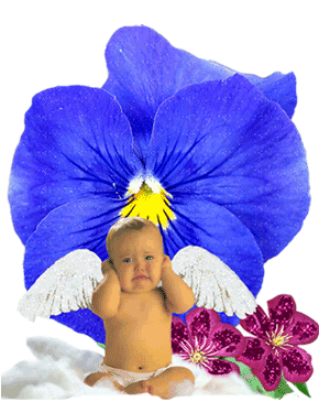j'adore les bébés