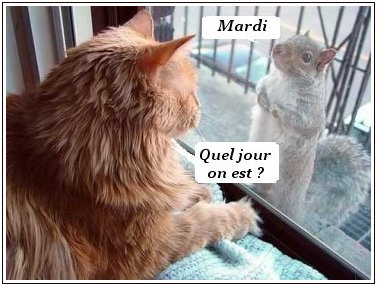 bonne journée