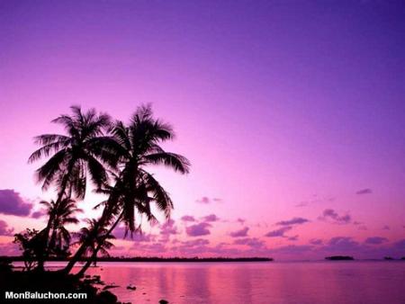beau paysage