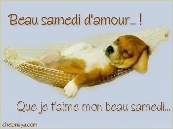 bon samedi à tous