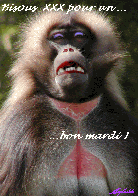 bon mardi à tous