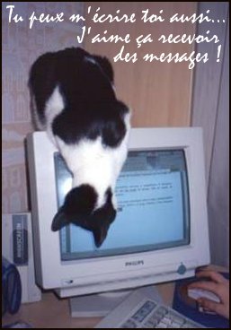 un petit message ne fait pas de tord
