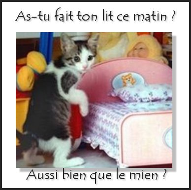 moi le mien est fait!!!