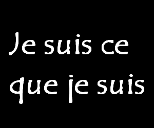 voilà c'est tout ce que j'ai à dire
