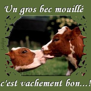 Une grosse lèche à vous tous....